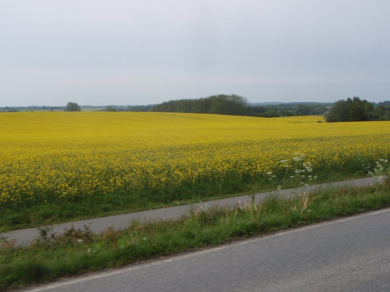 Bad Schwartau 184